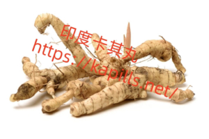 黃精-1024x682-1-300x200 - 印度卡其丸, 壯陽藥, 威而鋼, 犀利士, 樂威壯, 泰國果凍ptt, 樂軒昂