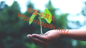 2-300x169-1 - 印度卡其丸, 壯陽藥, 威而鋼, 犀利士, 樂威壯, 泰國果凍ptt, 樂軒昂