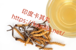 冬蟲夏草怎麼吃-1024x682-1-300x200 - 印度卡其丸, 壯陽藥, 威而鋼, 犀利士, 樂威壯, 泰國果凍ptt, 樂軒昂