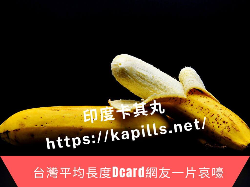 台灣平均長度Dcard網友