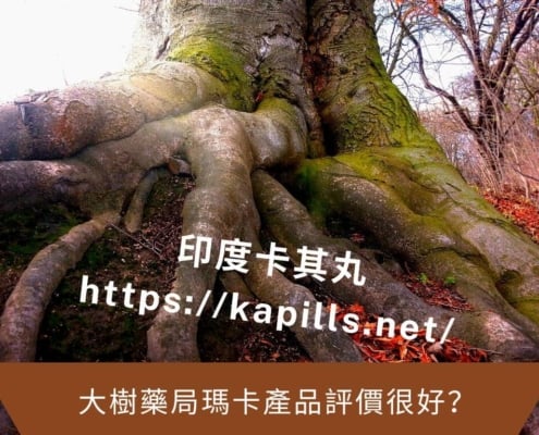 大樹藥局瑪卡產品評價很好