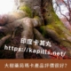 大樹藥局瑪卡產品評價很好