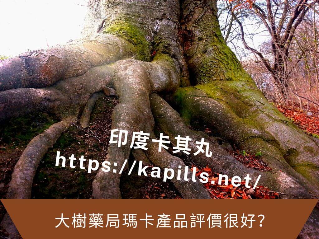 大樹藥局瑪卡產品評價很好
