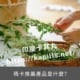 瑪卡推薦產品是什麼