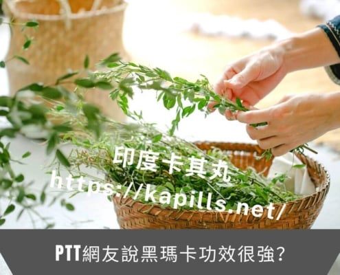 PTT網友說黑瑪卡功效很強