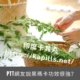 PTT網友說黑瑪卡功效很強