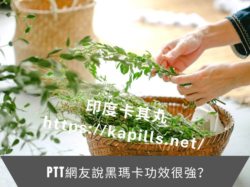 PTT網友說黑瑪卡功效很強