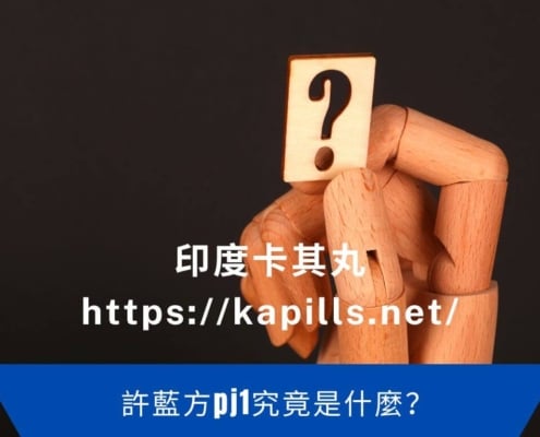 許藍方pj1究竟是什麼