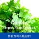 許藍方瑪卡產品