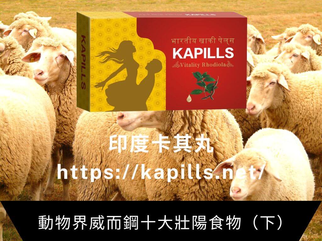 動物界威而鋼十大壯陽食物（下）