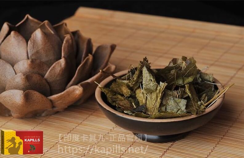 淫羊藿功效有哪些?淫羊藿怎麼吃?會不會有副作用? - 印度卡其丸, 壯陽藥, 威而鋼, 犀利士, 樂威壯, 泰國果凍ptt, 樂軒昂 淫羊藿功效2-1 - 印度卡其丸, 壯陽藥, 威而鋼, 犀利士, 樂威壯, 泰國果凍ptt, 樂軒昂